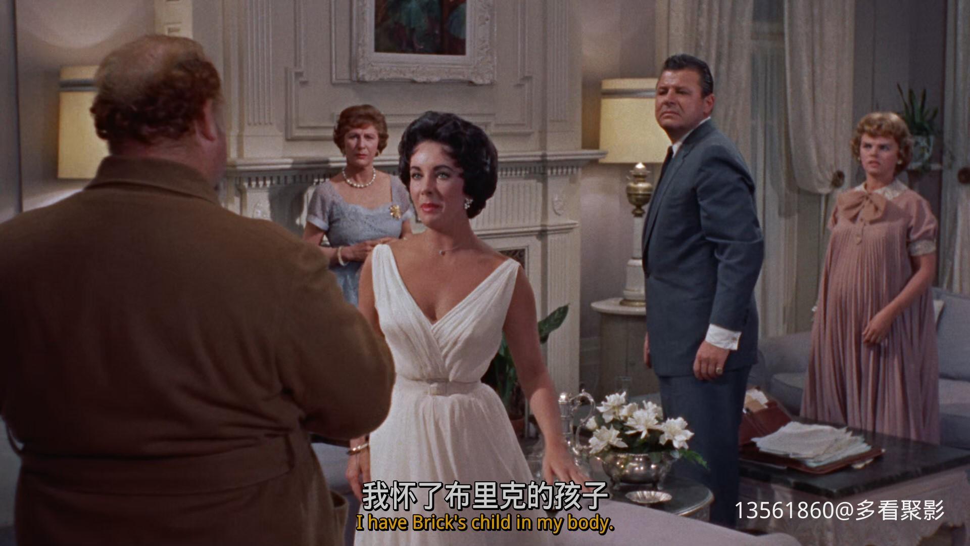 热铁皮屋顶上的猫Cat on a Hot-01_44_05-2025_12_26_10_21_38.jpg