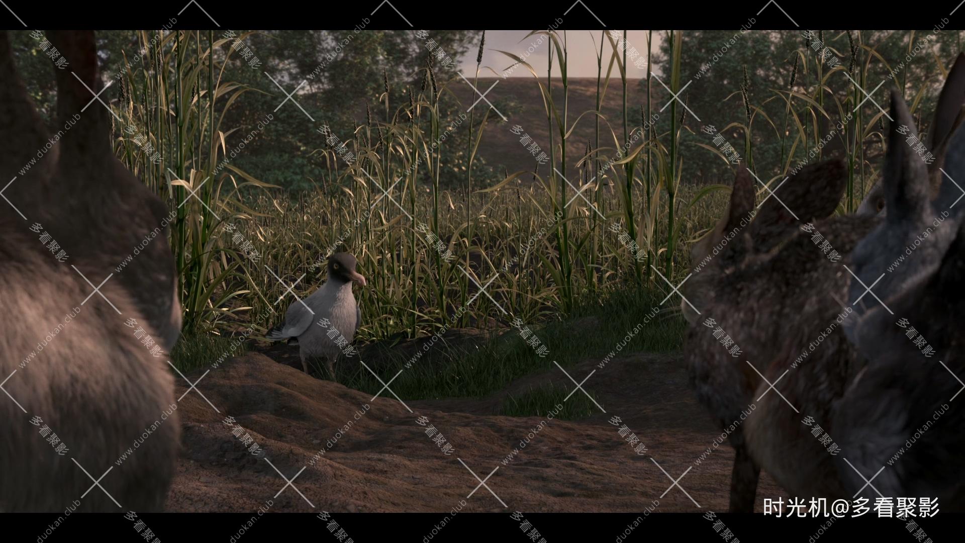 新西游记 [S01E07] - 直到遇见你.mkv_20251228_195905.002.jpg