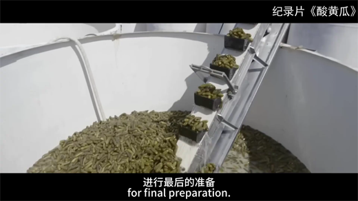 记录片酸黄瓜[00_08_40][20260109-144338].png