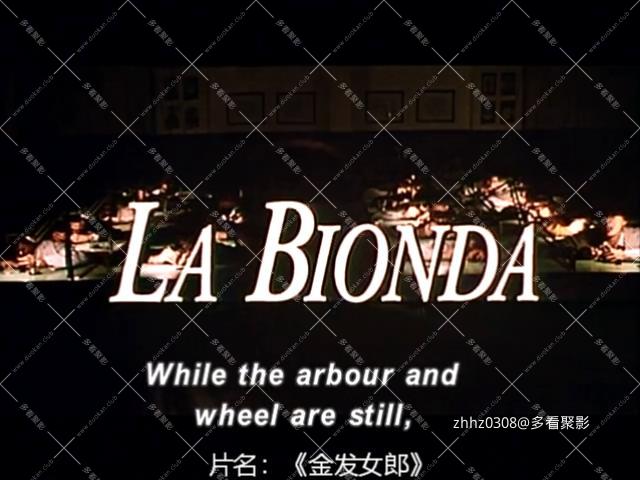 金发女郎.La.Bionda.1992.DVDrip.x264.ac3.2audio.mkv_20260119_002058351.jpg