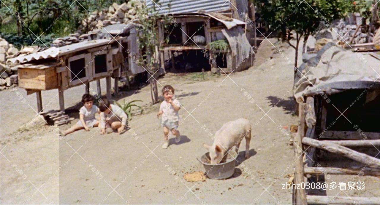 意大利式结婚 Matrimonio all'italiana (1964) BD720P H264.mkv_20260121_124004435.jpg