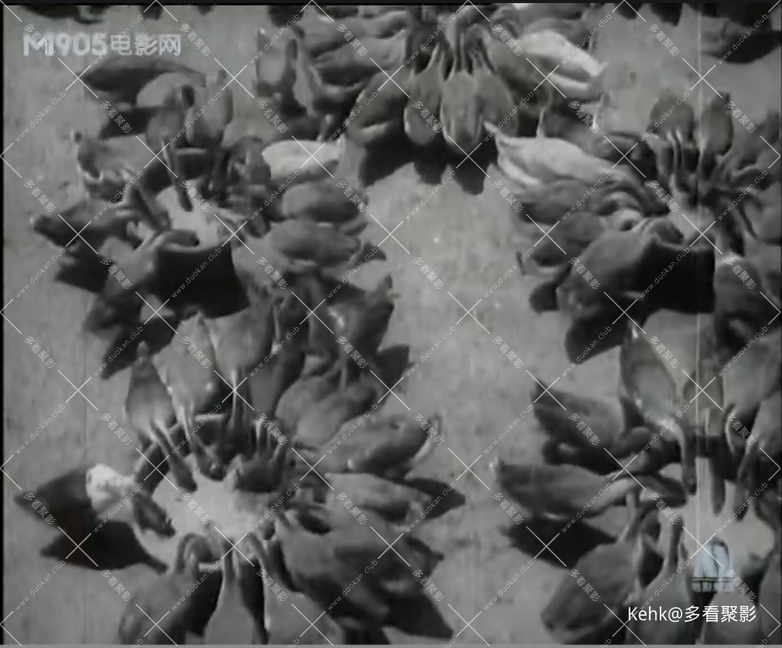 截屏2026-02-04 15.51.24.jpeg