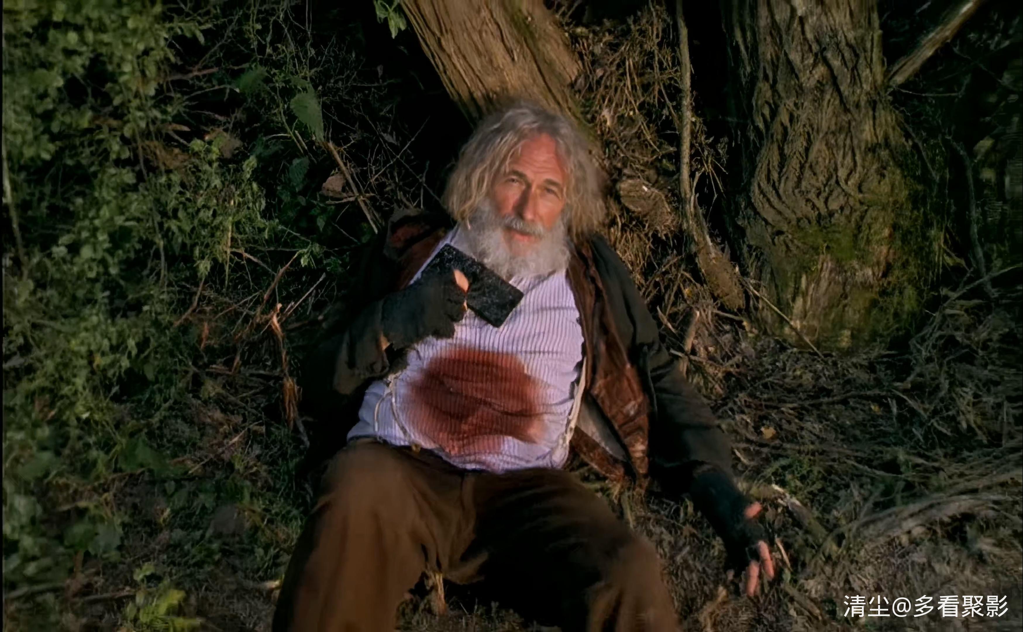 2000 苦儿流浪记 sans.famille.mkv_20260207_122827.171.jpg