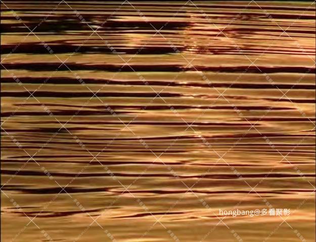 【多看】寻梅丨修复版[01_09_47][20260219-214448] 副本.png