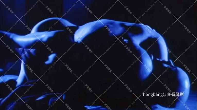 静态截图 (17).jpg