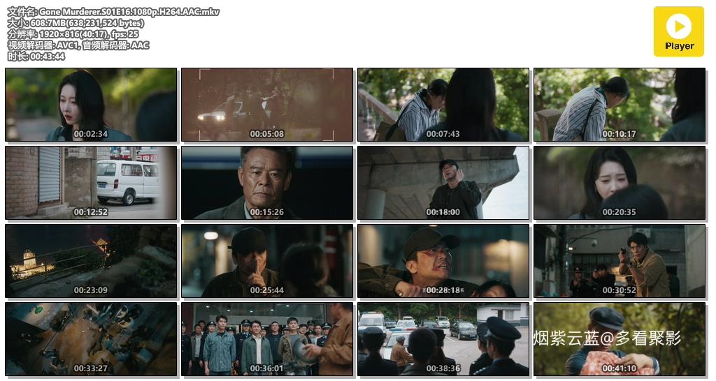 Gone Murderer.S01E16.1080p.H264.AAC.mkv.jpg