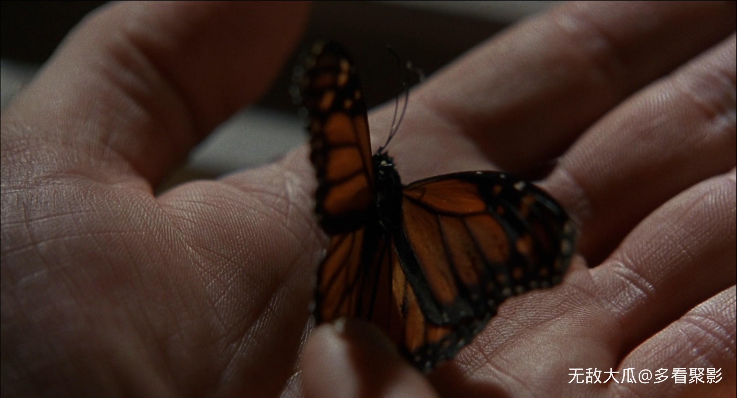 屏幕截图 2026-02-23 140400.jpg