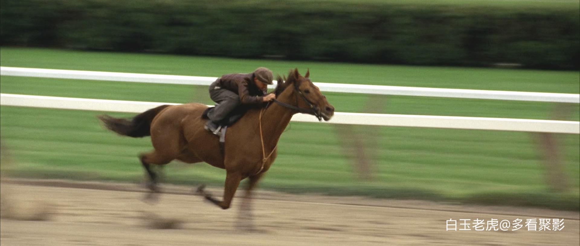 Seabiscuit.2003.BluRay.1080p.x265.10bit.2Audio-MiniHD.mkv_20260227_013911.927.jpg