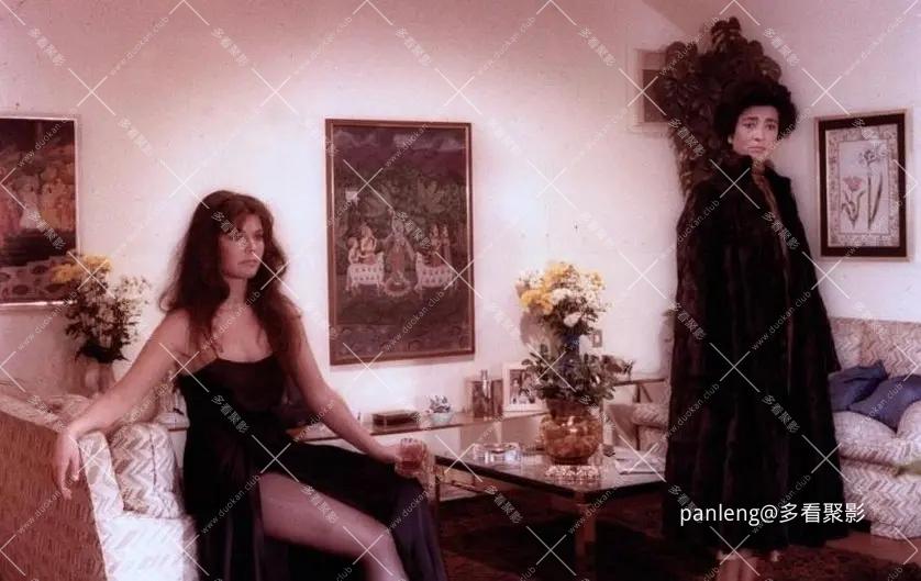 p2565629144.webp (1).jpg