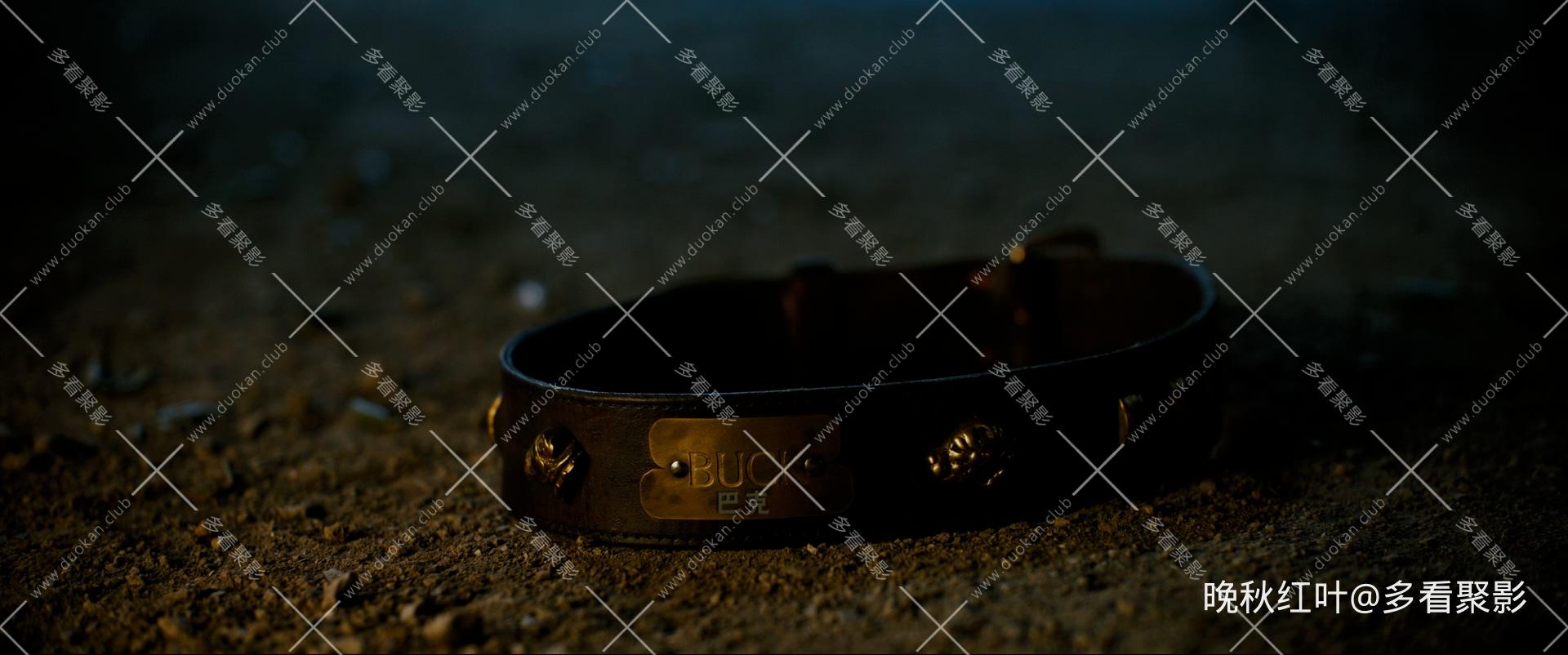 The Call of the Wild 2020 USA BluRay 2160p TrueHD7.1 HDR10 x265 10bit-DreamHD.mk.jpg