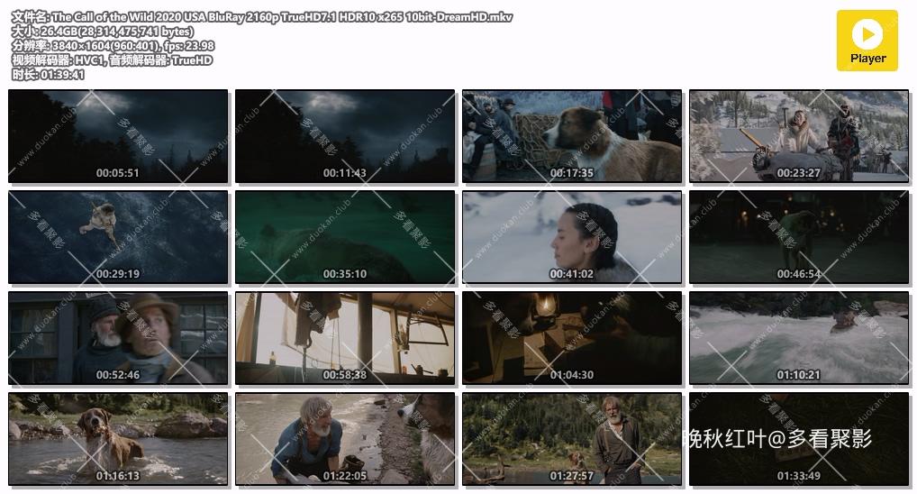 The Call of the Wild 2020 USA BluRay 2160p TrueHD7.1 HDR10 x265 10bit-DreamHD.mkv.jpg