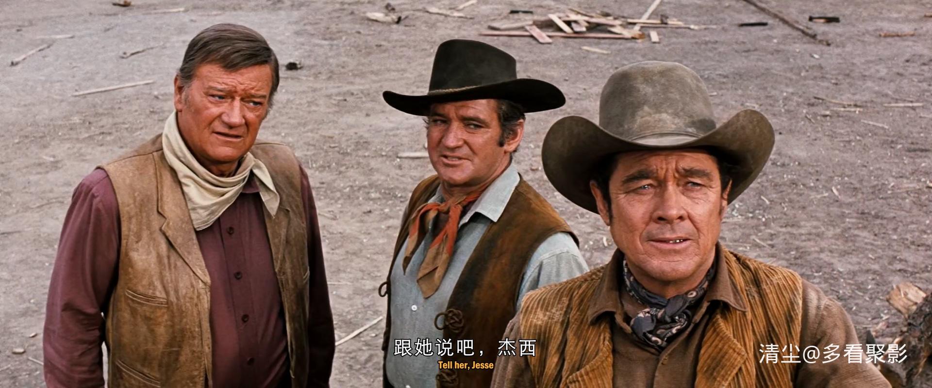 1973 列车大盗 The Train Robbers.mkv_20260314_172746.352.jpg