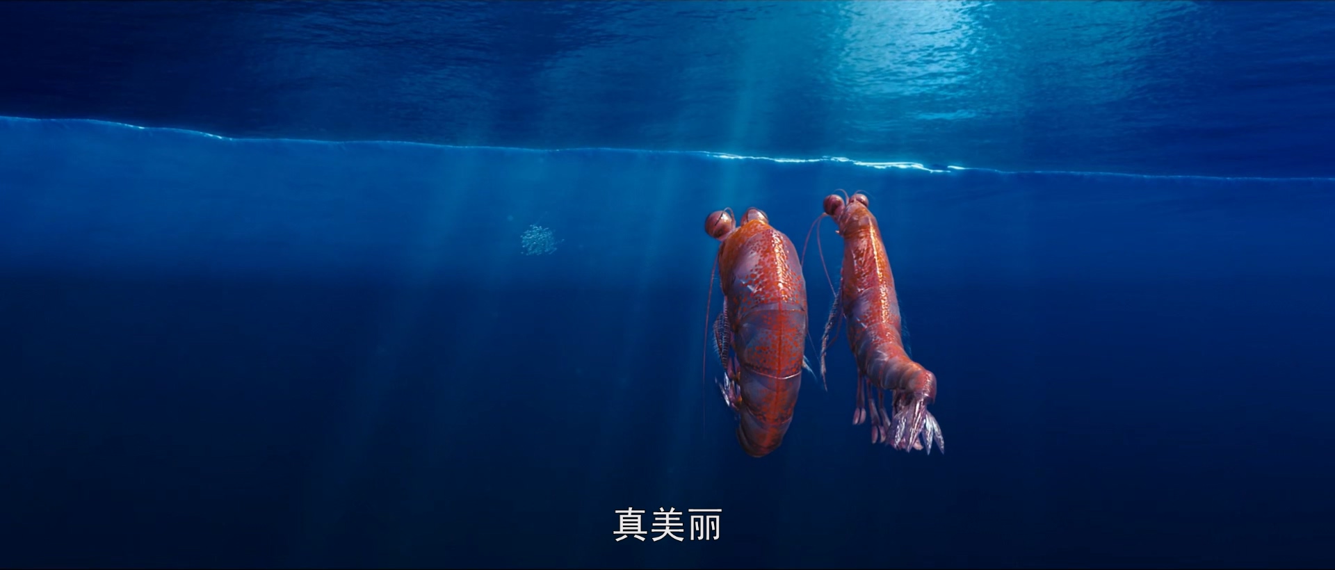 2011 快乐的大脚2 Happy Feet Two .mkv_20260316_173155.087.jpg