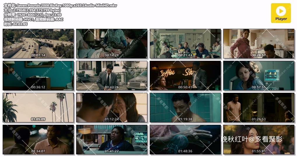 Seven.Pounds.2008.BluRay.1080p.x265.2Audio-MiniHD.mkv.jpg