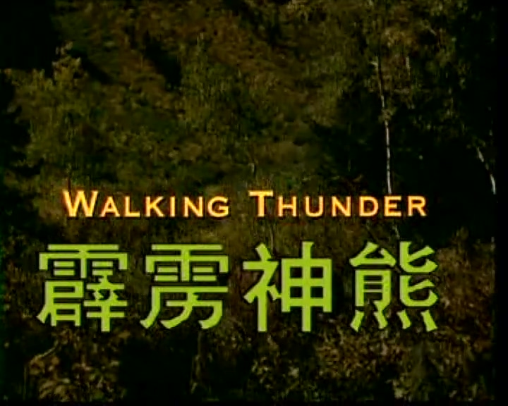 Walking Thunder.mp4_000041.165.jpg