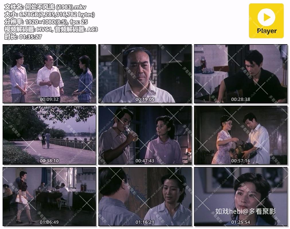 何处不风流 (1983).mkv.jpg