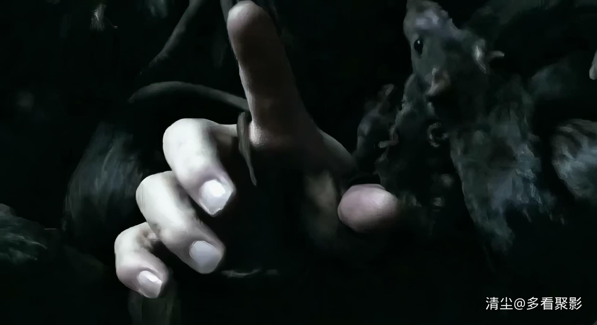 2004 鼠疫屠城 Ratten 2 Sie kommen wieder!.mp4_20260427_215808.543.jpg