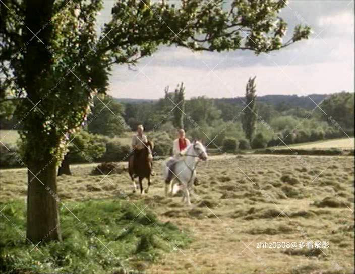 雨中情 Tears in the Rain (1988)国语 dvdrip.mkv_20260430_162425586.jpg