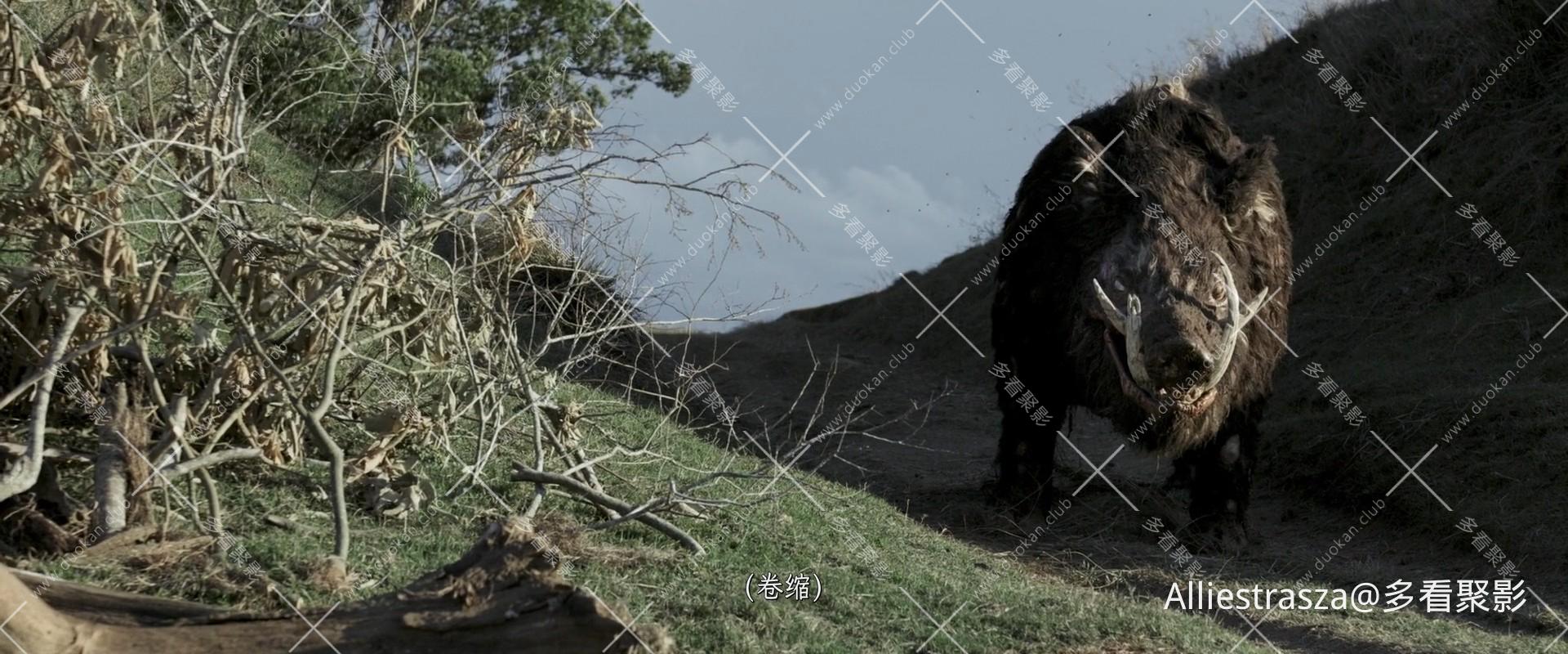 Boar.2017.1080p.BluRay.H264.AAC-RARBG_0004.jpg