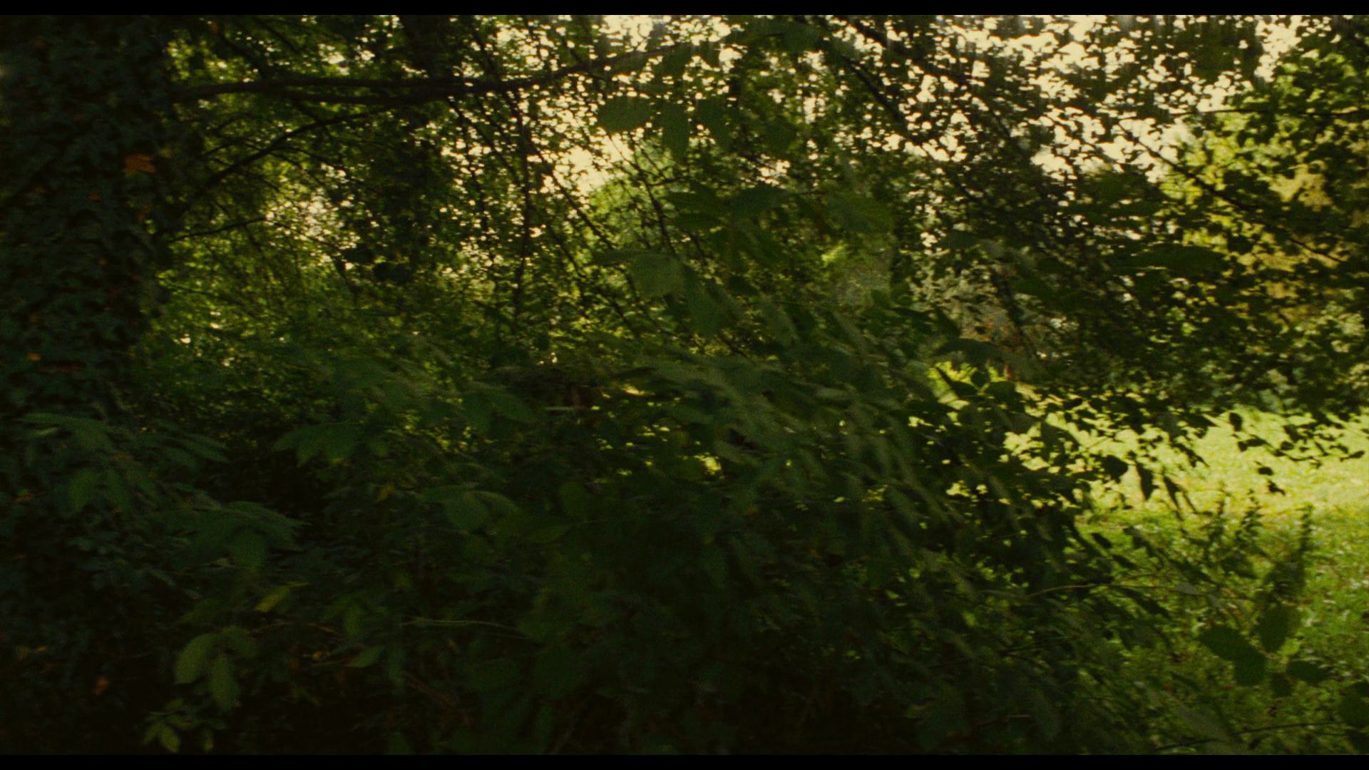 一九零零 (1976) [tmdb=3870].mkv_002029.340.png
