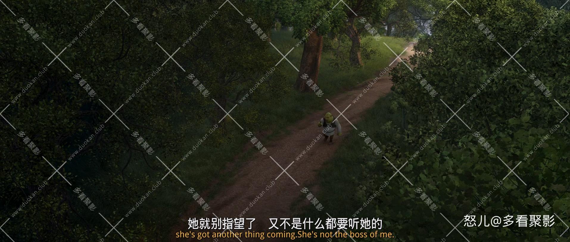 怪物史瑞克4.Shrek.Forever.After.2010.1080p.BluRay.x265.3audio-RARBG.mkv_20260713.jpg