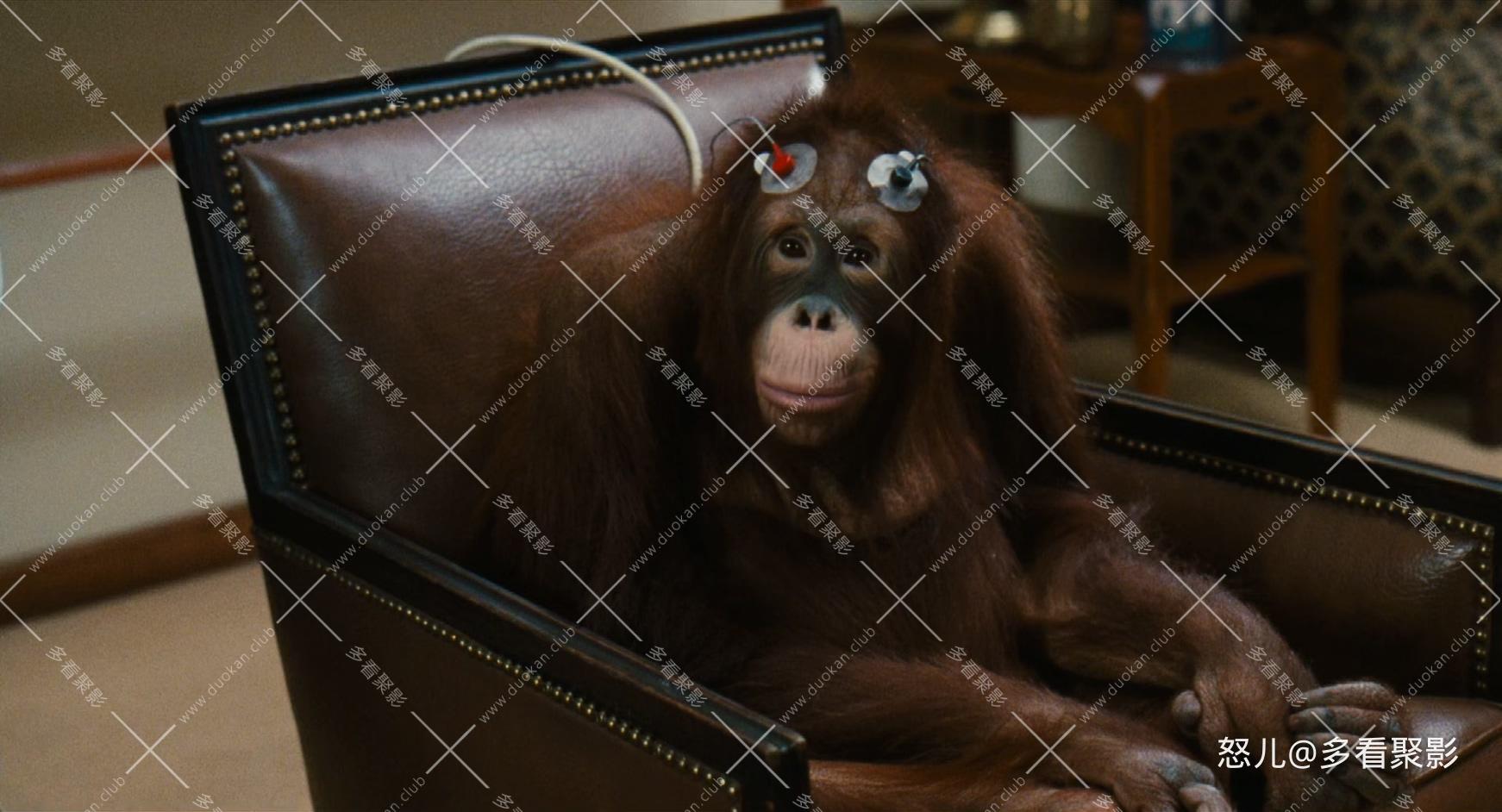 怪医杜立德.Dr.Dolittle.1998.1080p.BluRay.x265.3audio-RARBG.mkv_20260717_112205.973.jpg
