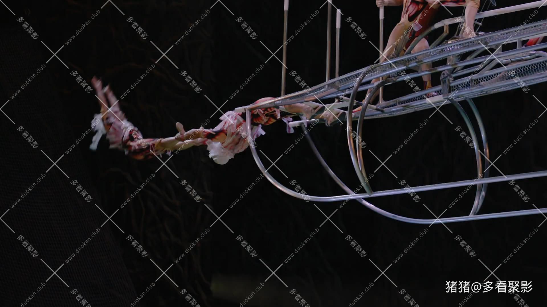 snapshot20260729112845.jpg