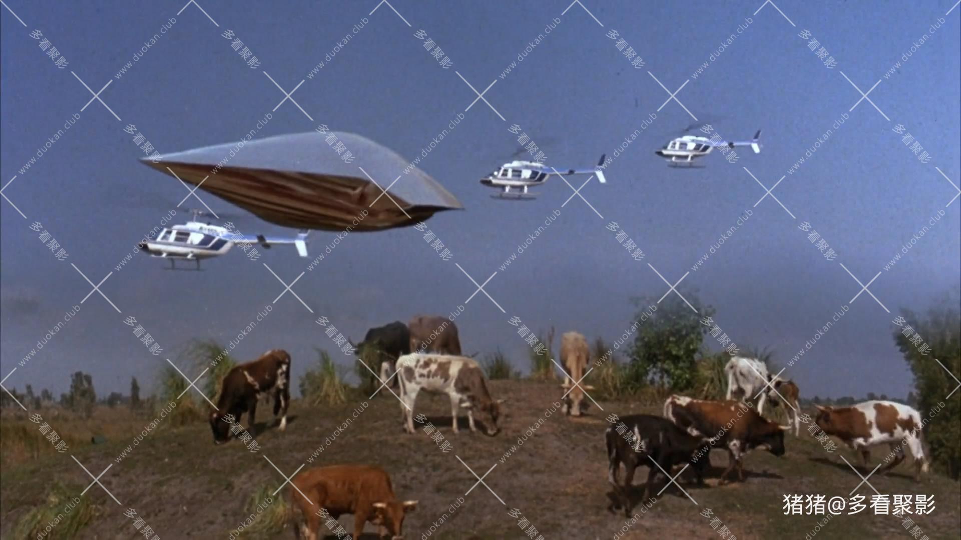 snapshot20260803123444.jpg