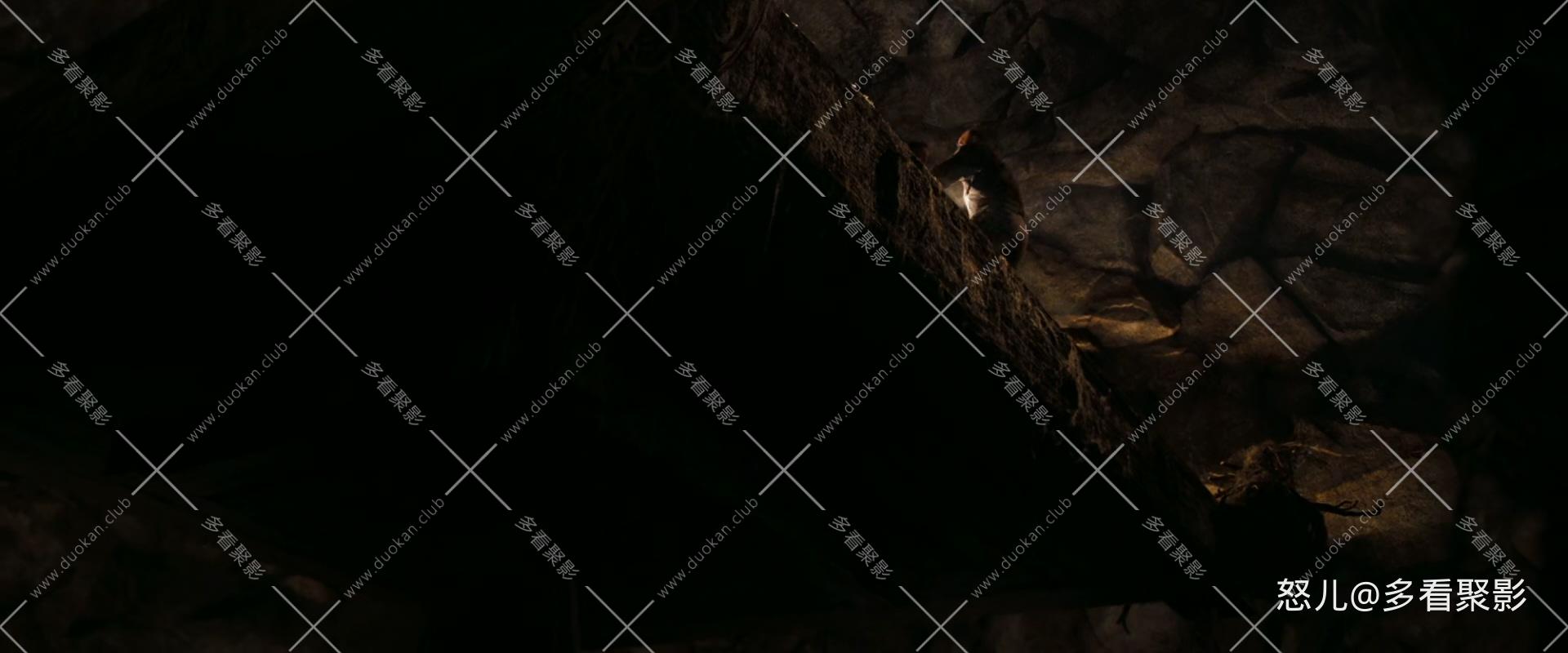 国家宝藏2：夺宝秘笈.National Treasure 2：Book of Secrets.2007.BluRay.1080p.x265..jpg