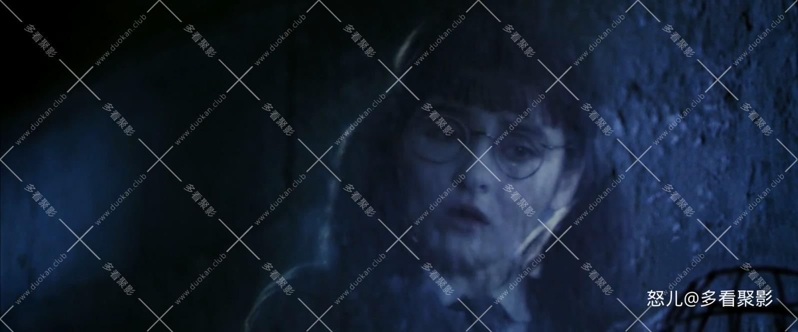 哈利·波特与密室.Harry.Potter.Chamber.of.Secrets.2002.1080p.BluRay.H264.AAC.3aud.jpg