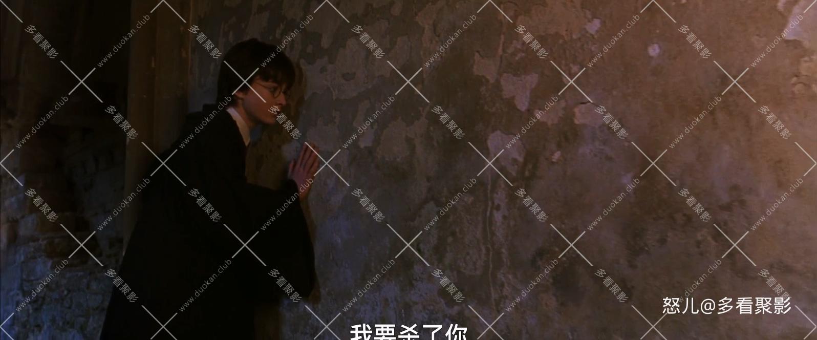 哈利·波特与密室.Harry.Potter.Chamber.of.Secrets.2002.1080p.BluRay.H264.AAC.3aud.jpg