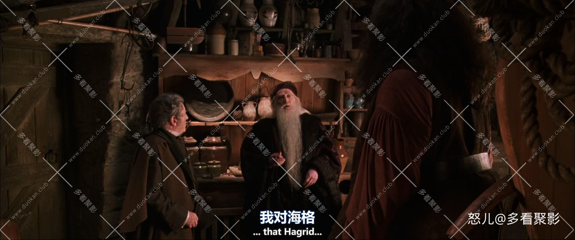 哈利·波特与密室.加长版.Harry.Potter.and.the.Chamber.of.Secrets.2002.EXTENDED.10.jpg