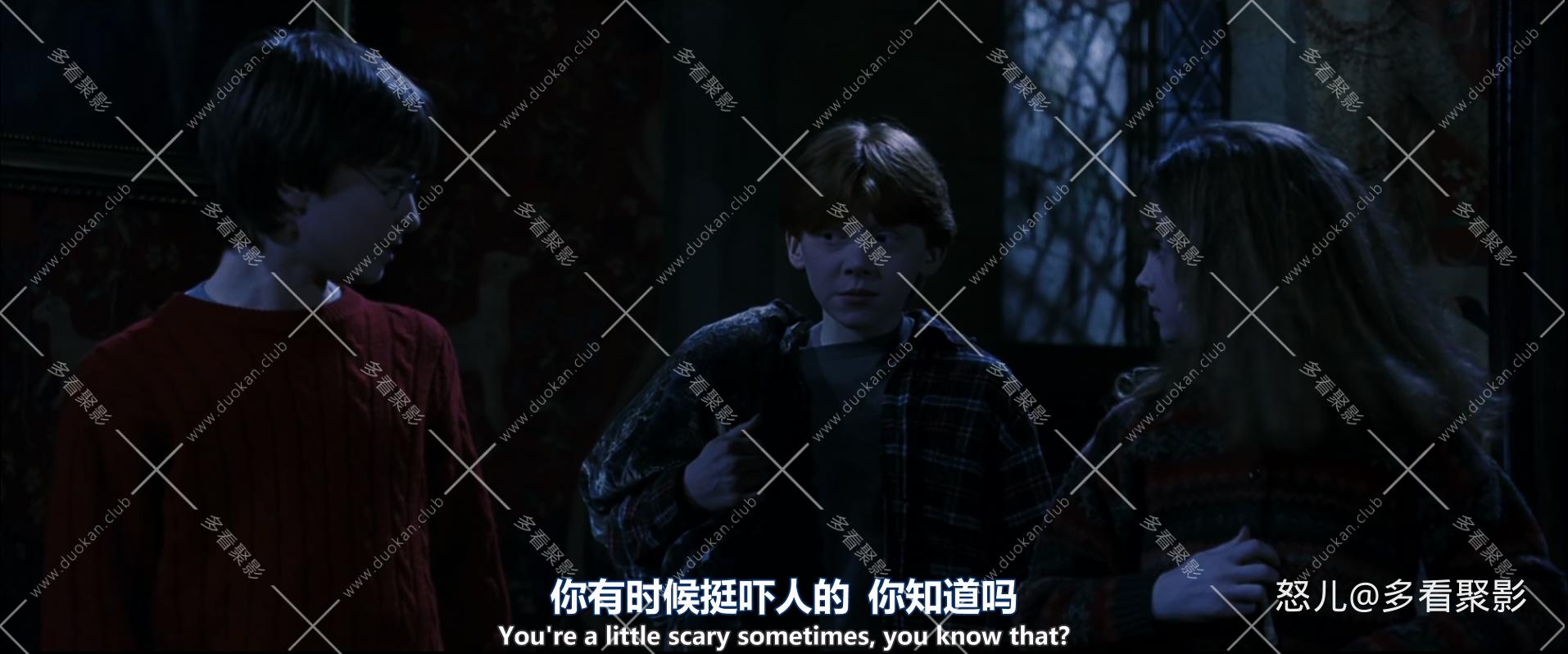 哈利·波特与魔法石.加长版.Harry.Potter.and.the.Sorcerer's.Stone.2001.EXTEND.jpg