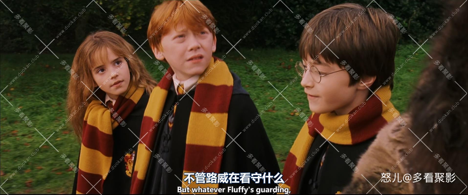 哈利·波特与魔法石.加长版.Harry.Potter.and.the.Sorcerer's.Stone.2001.EXTEND.jpg