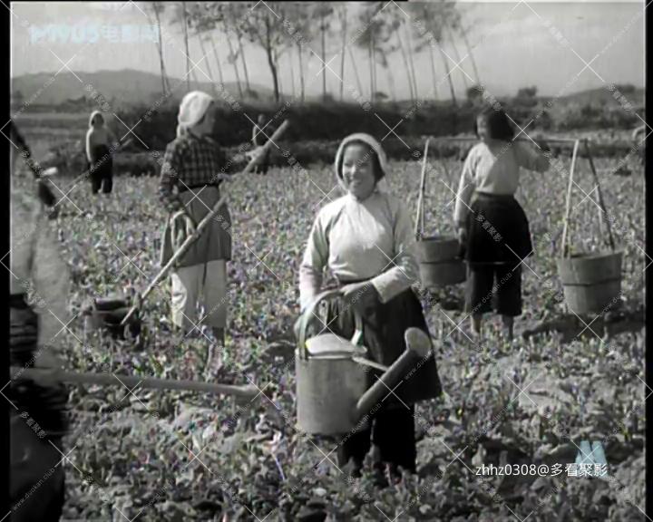 落水记.mp4_20260812_115559486.jpg