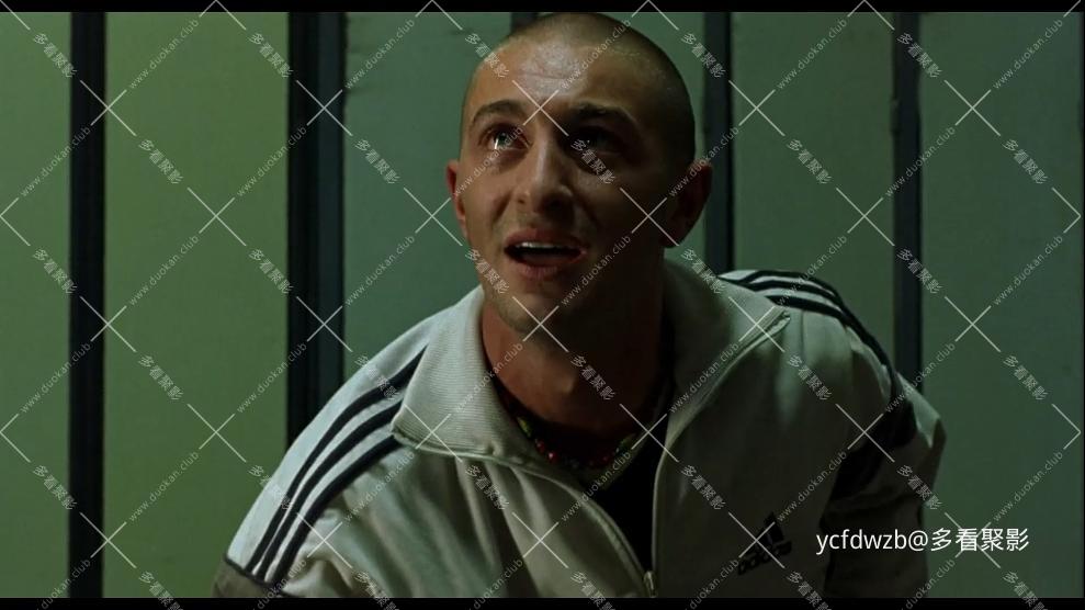 p2934993487.jpg