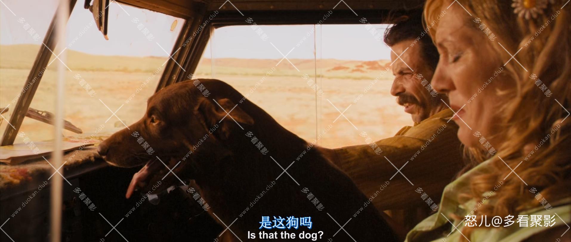 红犬历险记.Red.Dog.2011.1080p.BluRay.x265.2audio-RARBG.mkv_20260818_102517.615.jpg
