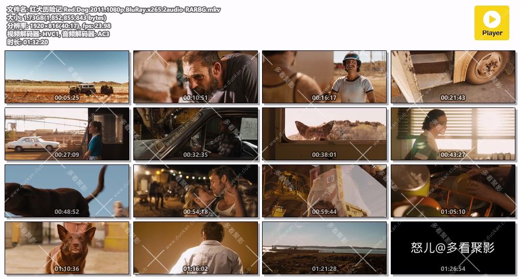 红犬历险记.Red.Dog.2011.1080p.BluRay.x265.2audio-RARBG.mkv.jpg
