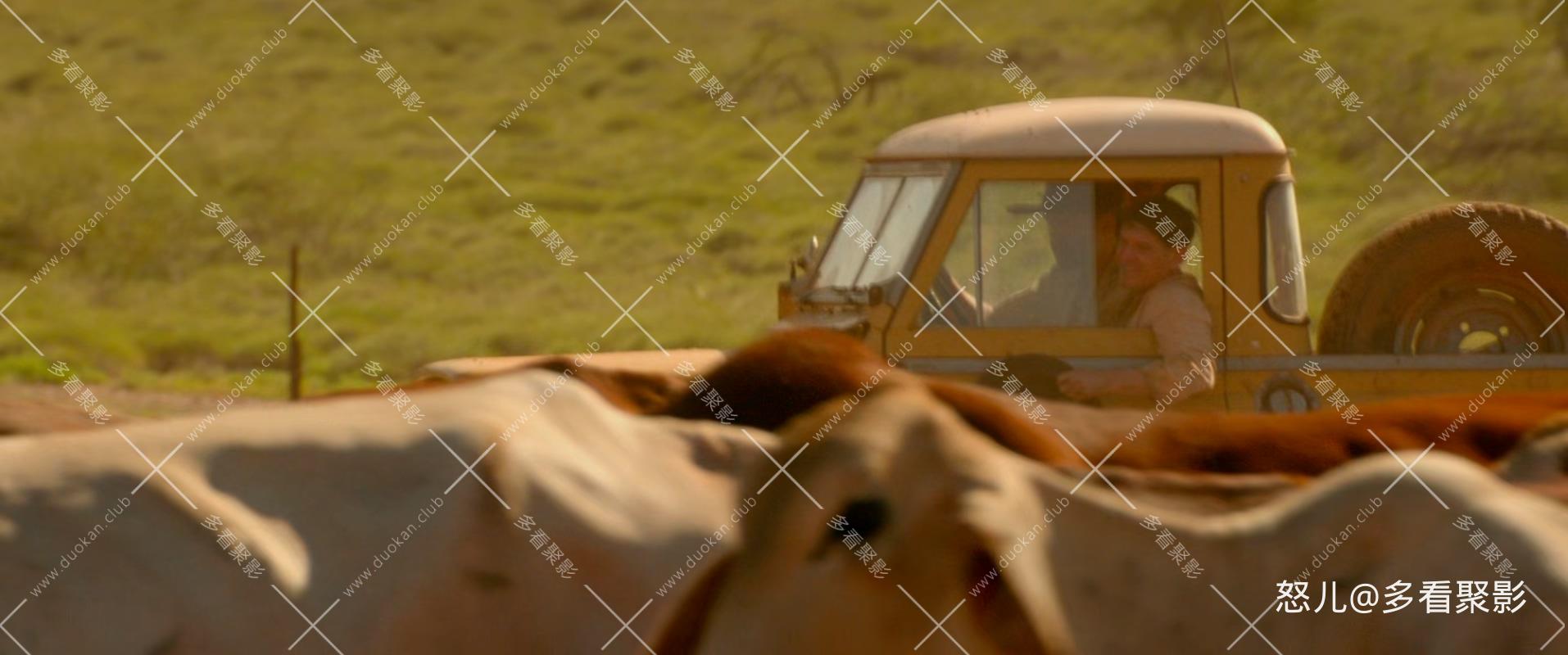 红犬历险记2：蓝犬.Red.Dog.True.Blue.2016.1080p.BluRay.x265.2audio-RARBG.mkv_2026.jpg