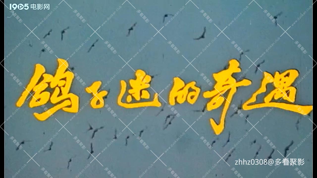 鸽子谜的奇遇（1987）.mp4_20260828_201812.058.jpg